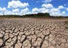 Quatro cidades da Paraíba entram em situação de emergência por causa da estiagem