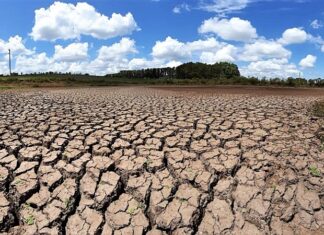 Fenômeno El Niño pode ocorrer neste ano, com risco de aumento de temperaturas e seca na Paraíba