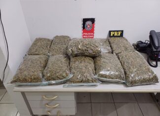 PRF apreende 16 kg de drogas e 6 pessoas são presas no fim de semana em rodovias da Paraíba