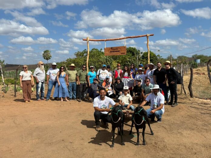 eff6f3cd-4172-4469-aeb8-a6837809e464