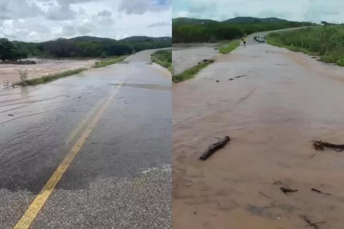 7a8c5915e8b7a6d80c3e2a2986ad0e36