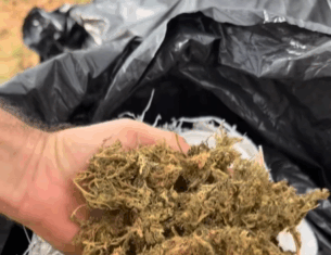 Polícia Civil apreende quase meio milhão de reais em drogas no cariri paraibano