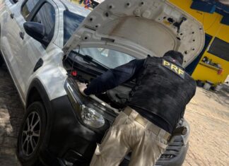 PRF recupera caminhonete roubada durante fiscalização na BR-230, em Cajazeiras