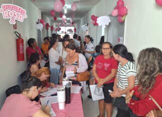 Prefeitura de Santa Terezinha promove o Dia D da Mulher